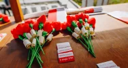 Patriotyczne święto w obiektywie - zdjęcie 2