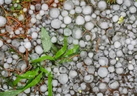 Komunikat wójta: zgłaszanie szkód w wyniku gradobicia - zdjęcie główne