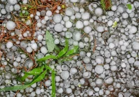 Dziś nawet 32 st. C, później burze z gradem (ostrzeżenie II stopnia) - zdjęcie główne