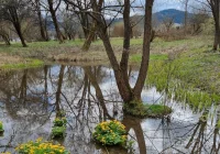 Odbędzie się pierwsza "dziedzinna" majówka - zdjęcie główne