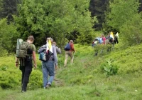 Trudy wędrówki chcą ofiarować za pokój - zdjęcie główne