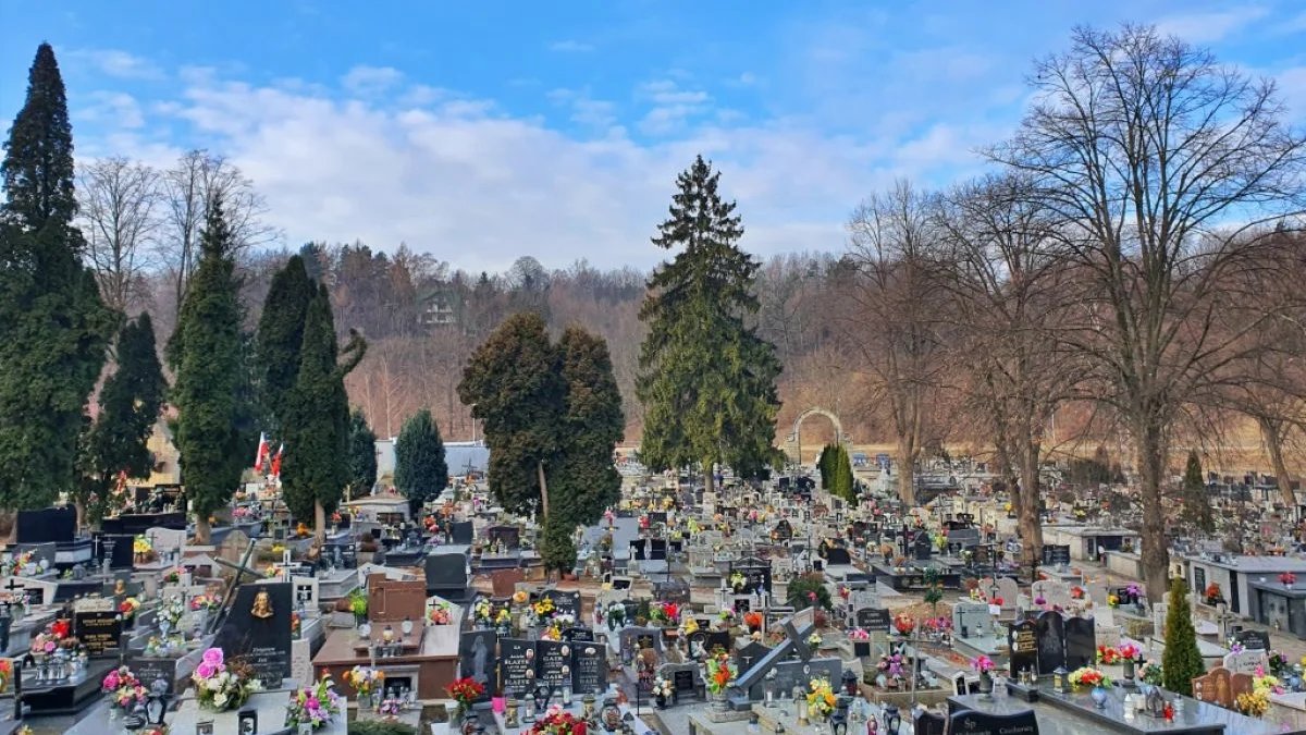Cmentarz przed uroczystością Wszystkich Świętych