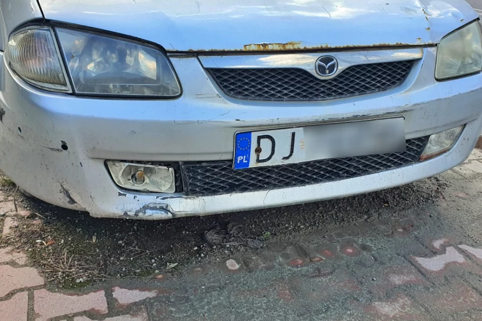 Wrak pełen śmieci - od 2 lat nie mogą usunąć go z parkingu - zdjęcie 6