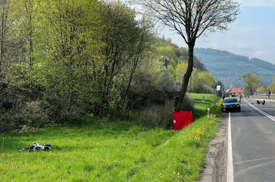 Po zderzeniu 19-latek uderzył w drzewo? 51-letni kierowca auta zatrzymany - zdjęcie 2