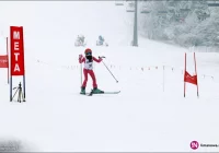 SLALOM GIGANT na zakończenie ferii - zdjęcie główne