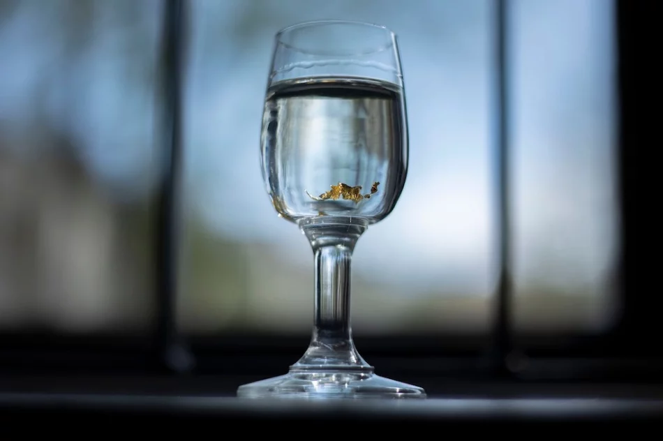 "Po zmroku" - X Noc Muzeum - zdjęcie 2