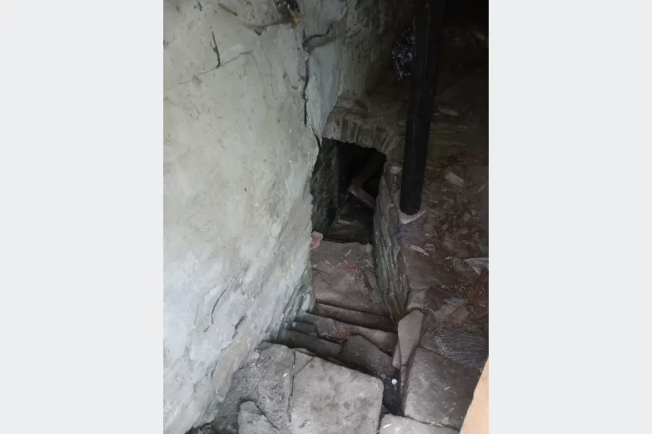 41-latek hodował marihuanę w piwnicy - zdjęcie 2