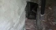 41-latek hodował marihuanę w piwnicy - zdjęcie 2