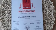 Sukcesy Zespołu „Limanowianie” podczas DRUZBACKI w Podegrodziu - zdjęcie 5