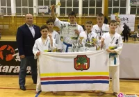 107 medali zdobytych przez limanowskich karateków ARS Klub Kyokushinkai - zdjęcie główne