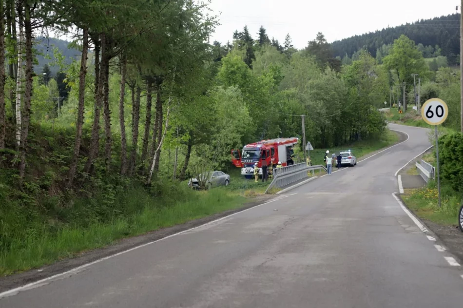 Samochód wjechał do koryta potoku - zdjęcie 2