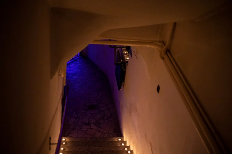 Wyjątkowa oprawa nocnego wernisażu - zdjęcie 11