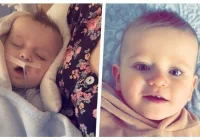 Złe wieści na temat zdrowia Maksia. Trwa zbiórka na operację - zdjęcie główne