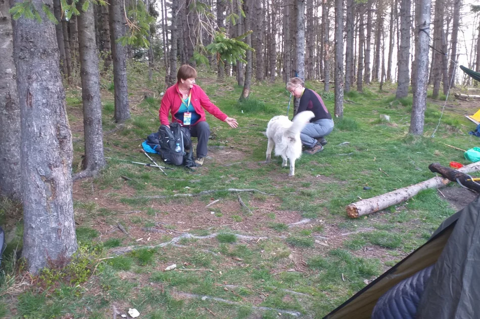 Wymagająca wędrówka przyciągnęła rekordową liczbę uczestników - zdjęcie 3