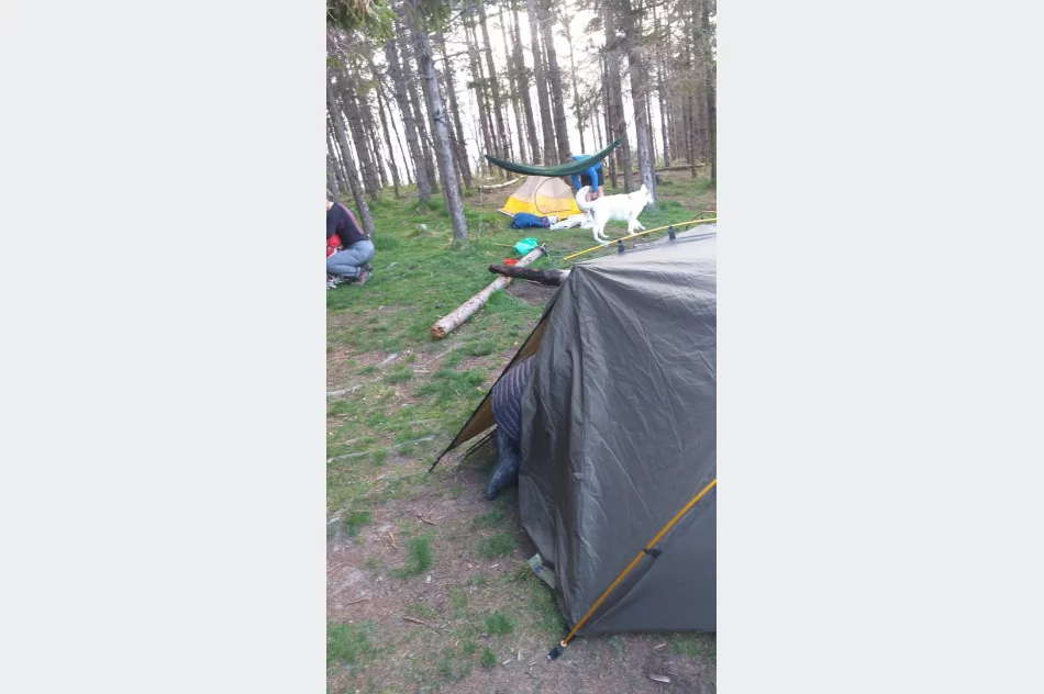 Wymagająca wędrówka przyciągnęła rekordową liczbę uczestników - zdjęcie 5