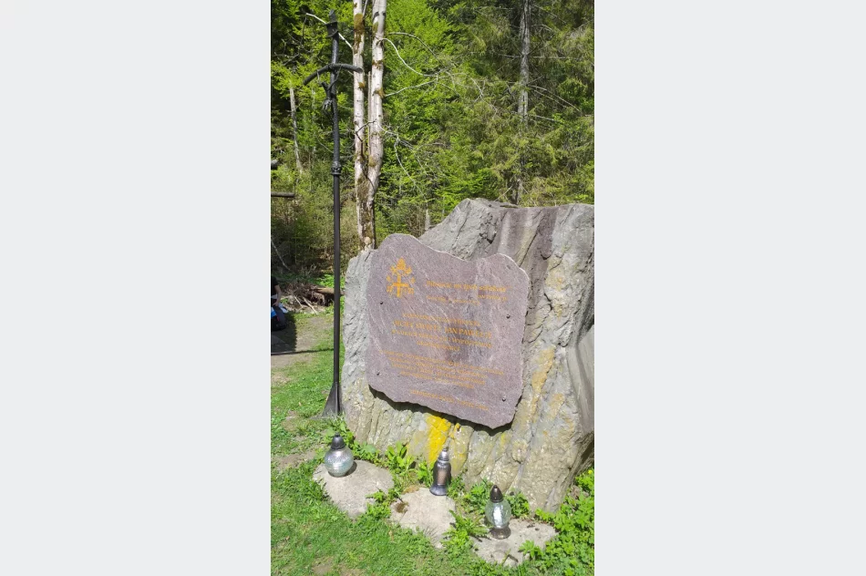 Wymagająca wędrówka przyciągnęła rekordową liczbę uczestników - zdjęcie 7