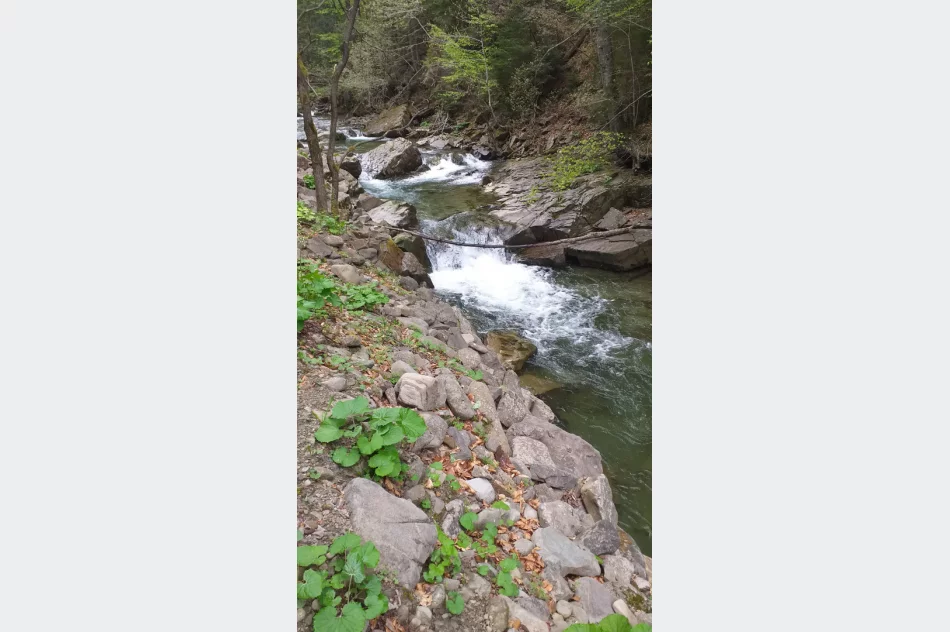 Wymagająca wędrówka przyciągnęła rekordową liczbę uczestników - zdjęcie 8