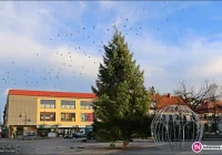 Limanowa przygotowuje się do Świąt! - zdjęcie główne