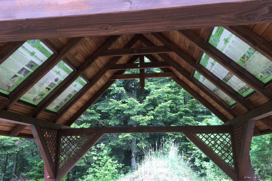 Zamontowano edukacyjne tablice - zdjęcie 2