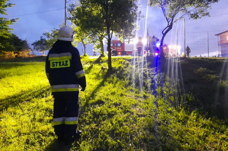 W nocy spłonął domek letniskowy - zdjęcie 9