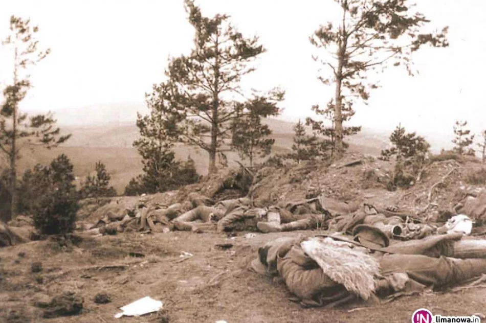 103. ROCZNICA BITWY POD LIMANOWĄ - zdjęcie 3