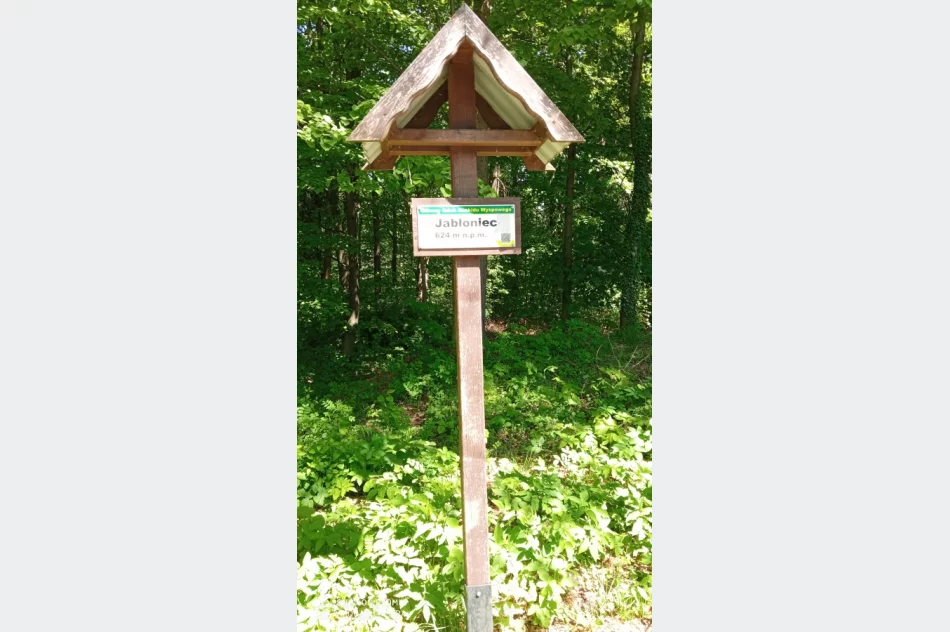 Podróżowali po Limanowszczyźnie śladami marszałka - zdjęcie 5