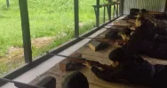 Uczniowie wojskowych klas trenują strzelectwo - zdjęcie 4