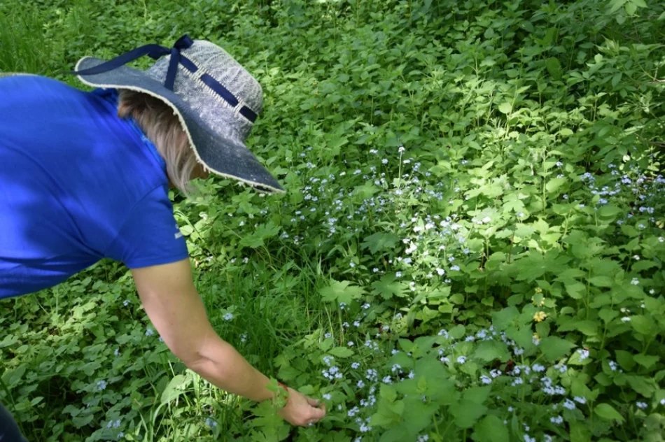 Inspirująca dziedzinna majówka - zdjęcie 17