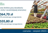 Renciści i wcześniejsi emeryci dorobią więcej - zdjęcie główne