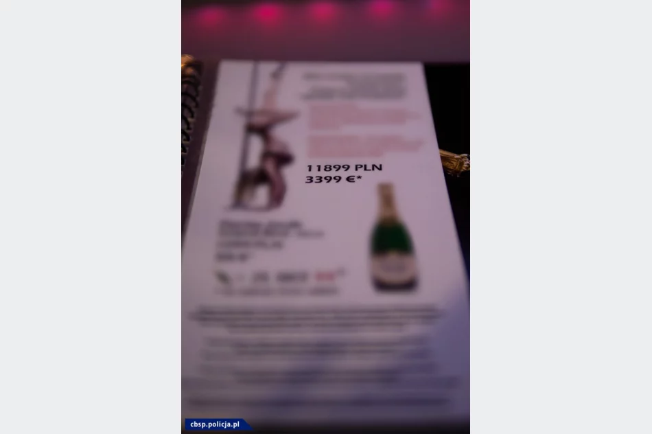 Potężne uderzenie w sieć klubów go-go, w których oszukiwano klientów - zdjęcie 14