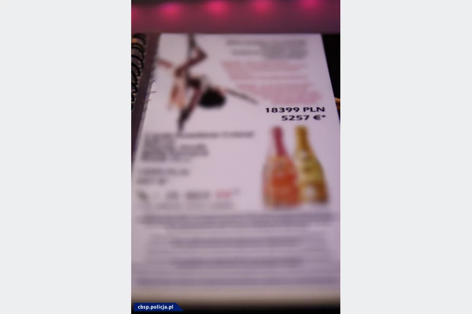 Potężne uderzenie w sieć klubów go-go, w których oszukiwano klientów - zdjęcie 15