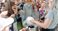 Festyn z okazji Dnia Dziecka w Szkole Podstawowej nr 2 Limanowej - zdjęcie 3