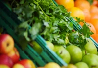 Nowe stawki opłaty handlowej - zdjęcie główne