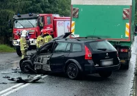 19-letni sprawca ukarany mandatem - zdjęcie główne