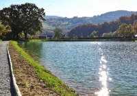 Wpadł do stawu, trafił do szpitala - zdjęcie główne