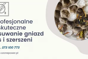Usuwanie gniazd os i szerszeni - zdjęcie główne