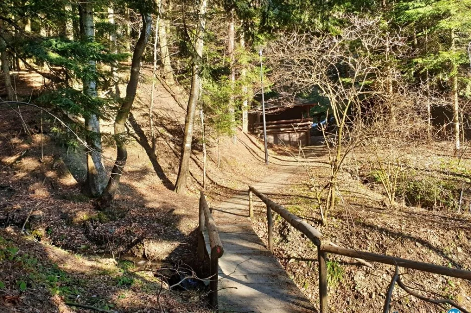 Po pozytywnej decyzji - przetarg jeszcze w tym roku - zdjęcie 2