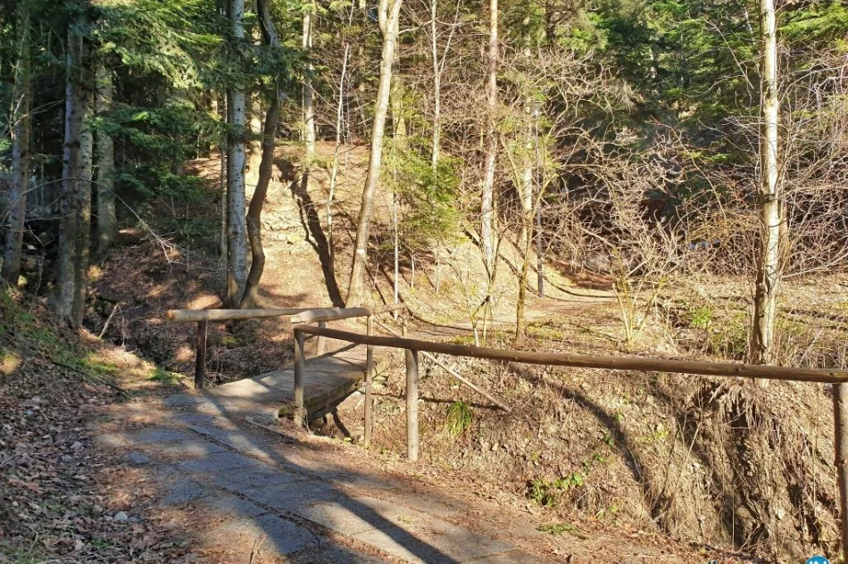 Po pozytywnej decyzji - przetarg jeszcze w tym roku - zdjęcie 6