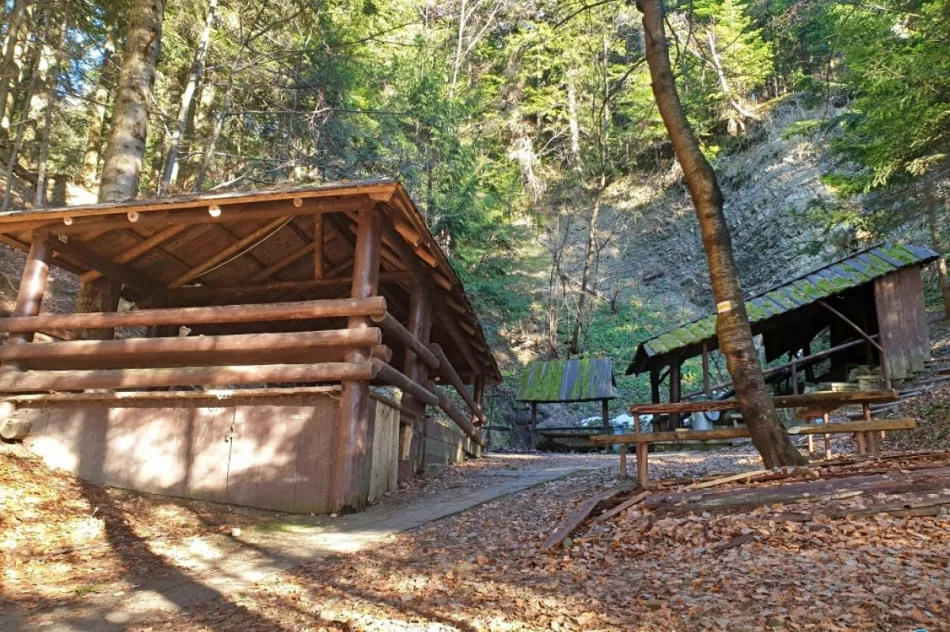 Po pozytywnej decyzji - przetarg jeszcze w tym roku - zdjęcie 9