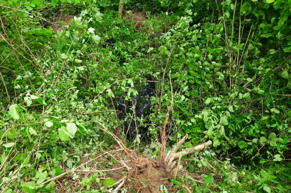 Trzej młodzi mężczyźni trafili do szpitali po dachowaniu Audi - zdjęcie 3