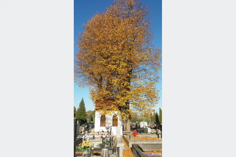 Renowacja Kapliczki na Cmentarzu Komunalnym - zdjęcie 4