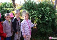 Święto Pieczonego Ziemniaka w Miejskim Przedszkolu Nr 2 w Limanowej - zdjęcie główne