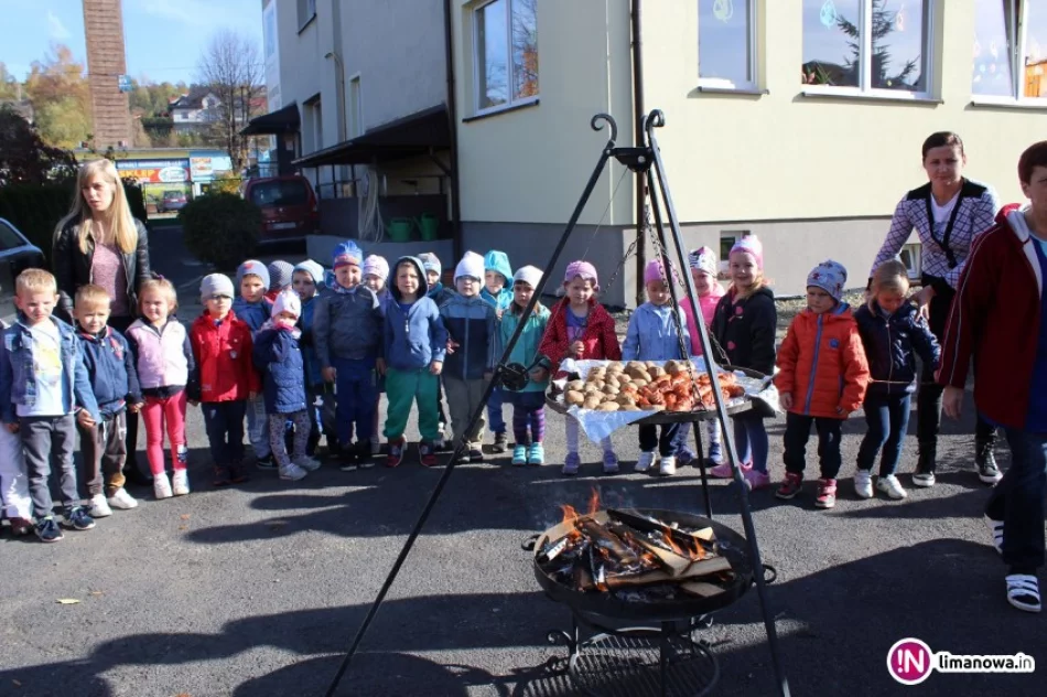 Święto Pieczonego Ziemniaka w Miejskim Przedszkolu Nr 2 w Limanowej - zdjęcie 2