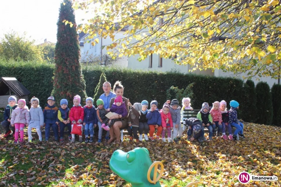 Święto Pieczonego Ziemniaka w Miejskim Przedszkolu Nr 2 w Limanowej - zdjęcie 4