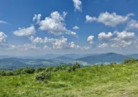 Prognoza na 23 tydzień roku  - zdjęcie główne