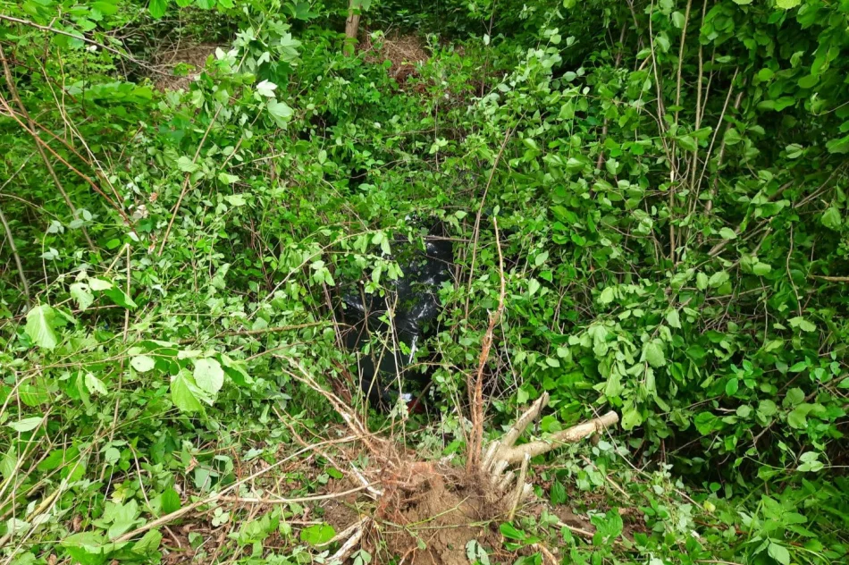 Policja: areszt dla sprawcy wypadku. Grozi mu 12 lat - zdjęcie 3