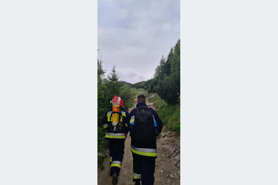 Zdobyli szczyt w pełnym umundurowaniu w geście solidarności - zdjęcie 5