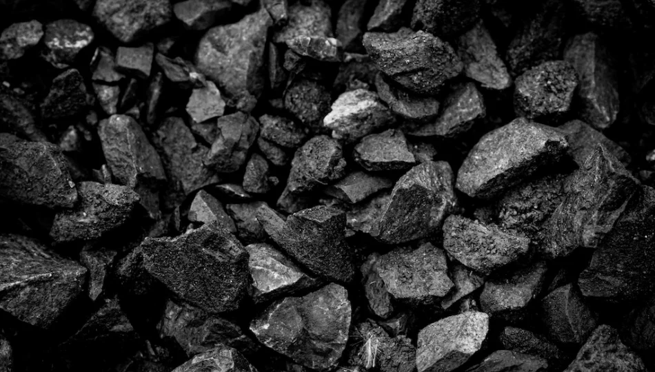 Rząd apeluje, by nie ulegać panice i nie kupować drogiego węgla - zdjęcie 1