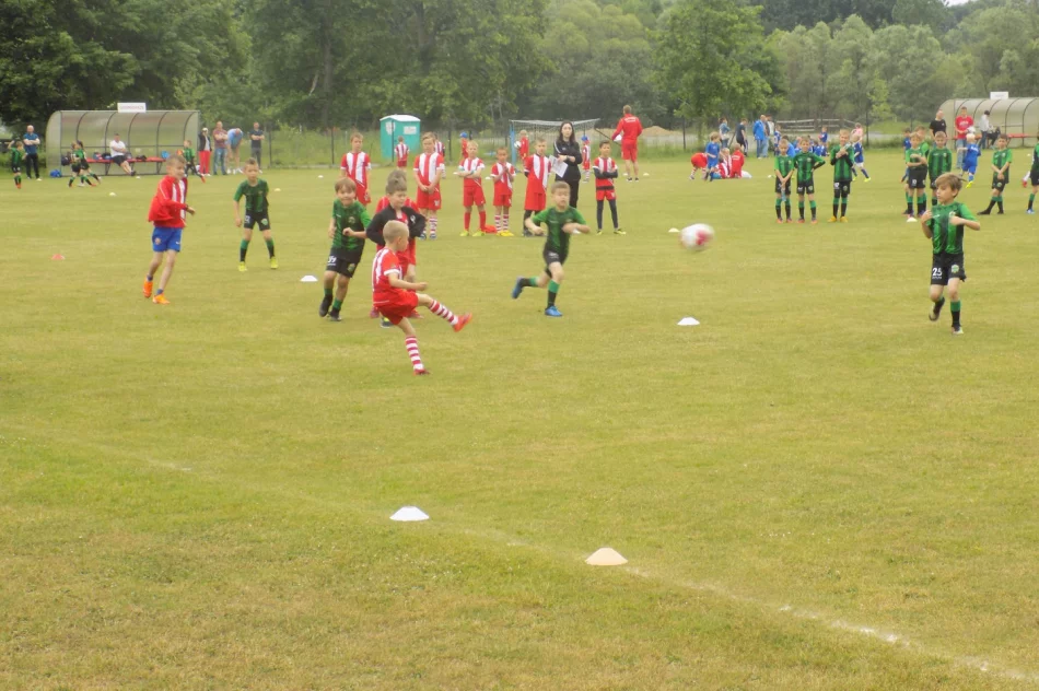 Piłkarski narybek pod patronatem prezesa LPPN - zdjęcie 6