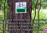 Budowa ścieżki rowerowej przy Potoku Jabłonieckim - zdjęcie główne